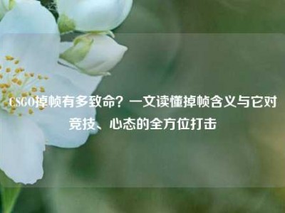 CSGO掉帧有多致命？一文读懂掉帧含义与它对竞技、心态的全方位打击