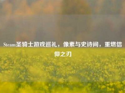 Steam圣骑士游戏巡礼，像素与史诗间，重燃信仰之刃