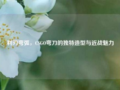 利刃弯弧，CSGO弯刀的独特造型与近战魅力
