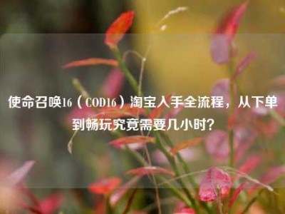 使命召唤16（COD16）淘宝入手全流程，从下单到畅玩究竟需要几小时？