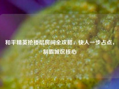 和平精英抢楼层房间全攻略，快人一步占点，制霸城区核心