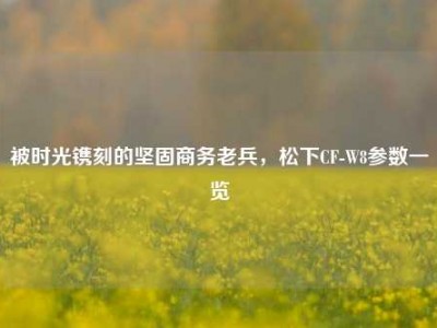 被时光镌刻的坚固商务老兵，松下CF-W8参数一览