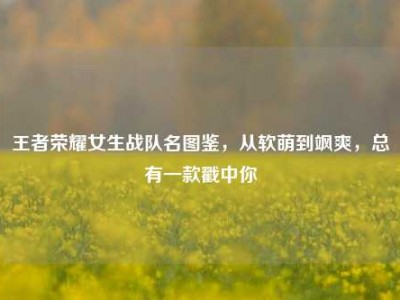 王者荣耀女生战队名图鉴，从软萌到飒爽，总有一款戳中你