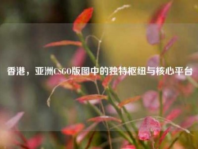 香港，亚洲CSGO版图中的独特枢纽与核心平台