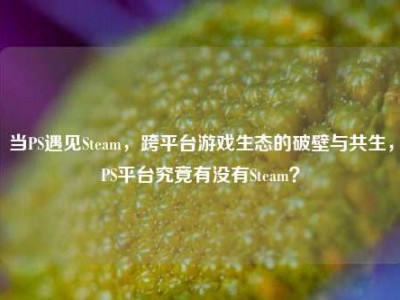 当PS遇见Steam，跨平台游戏生态的破壁与共生，PS平台究竟有没有Steam？