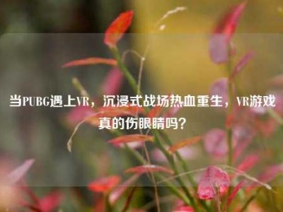 当PUBG遇上VR，沉浸式战场热血重生，VR游戏真的伤眼睛吗？