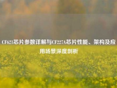 CF621芯片参数详解与CF227A芯片性能、架构及应用场景深度剖析
