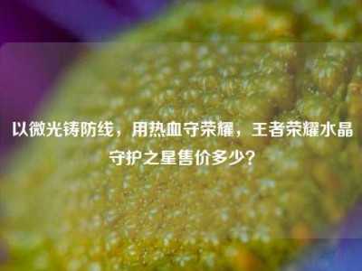 以微光铸防线，用热血守荣耀，王者荣耀水晶守护之星售价多少？