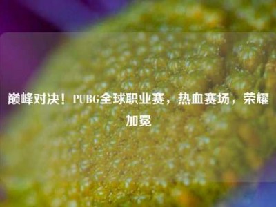 巅峰对决！PUBG全球职业赛，热血赛场，荣耀加冕