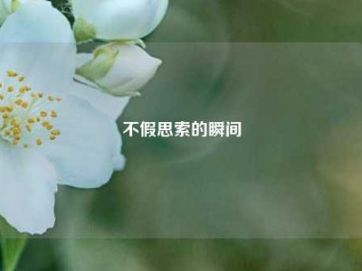 不假思索的瞬间