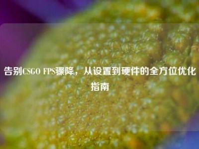 告别CSGO FPS骤降，从设置到硬件的全方位优化指南