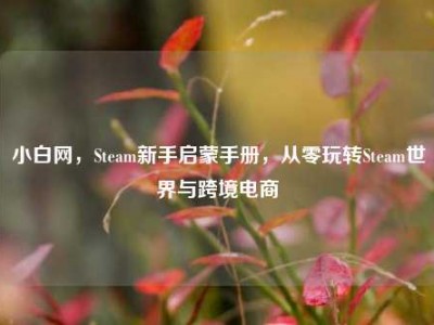 小白网，Steam新手启蒙手册，从零玩转Steam世界与跨境电商