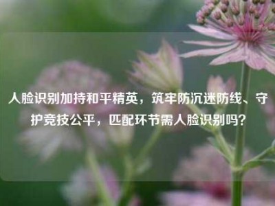 人脸识别加持和平精英，筑牢防沉迷防线、守护竞技公平，匹配环节需人脸识别吗？