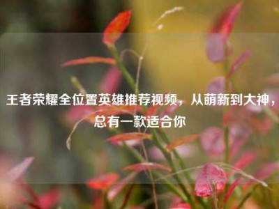王者荣耀全位置英雄推荐视频，从萌新到大神，总有一款适合你