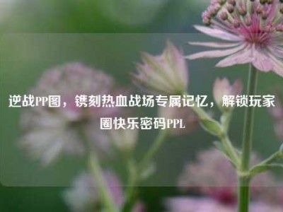 逆战PP图，镌刻热血战场专属记忆，解锁玩家圈快乐密码PPL