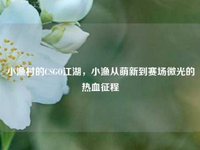 小渔村的CSGO江湖，小渔从萌新到赛场微光的热血征程