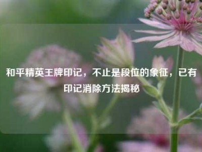 和平精英王牌印记，不止是段位的象征，已有印记消除方法揭秘