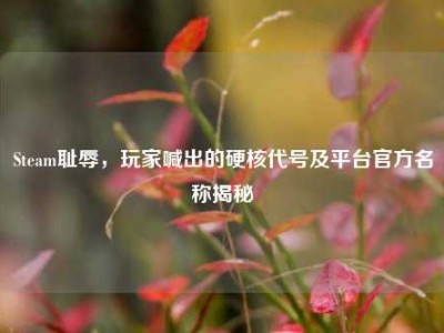 Steam耻辱，玩家喊出的硬核代号及平台官方名称揭秘