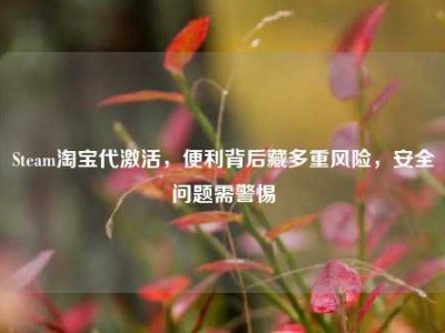 Steam淘宝代激活，便利背后藏多重风险，安全问题需警惕