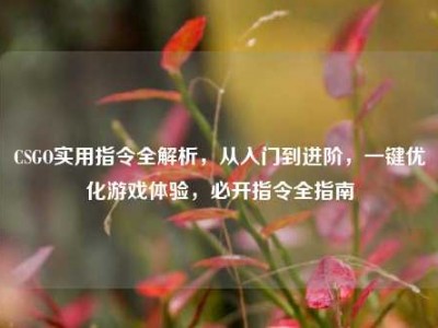 CSGO实用指令全解析，从入门到进阶，一键优化游戏体验，必开指令全指南