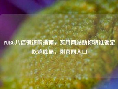 PUBG八倍镜进阶指南，实用网站助你精准锁定吃鸡胜局，附官网入口