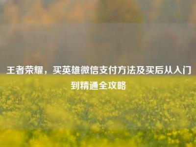 王者荣耀，买英雄微信支付方法及买后从入门到精通全攻略