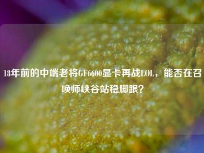 18年前的中端老将GF6600显卡再战LOL，能否在召唤师峡谷站稳脚跟？