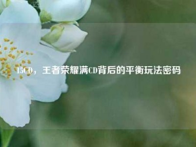 15CD，王者荣耀满CD背后的平衡玩法密码