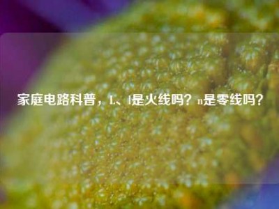 家庭电路科普，L、l是火线吗？n是零线吗？