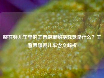 藏在婴儿车里的王者荣耀秘密究竟是什么？王者荣耀婴儿车含义解析