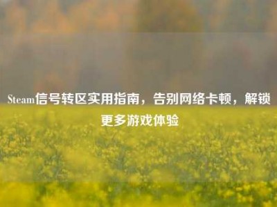 Steam信号转区实用指南，告别网络卡顿，解锁更多游戏体验