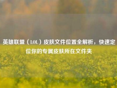 英雄联盟（LOL）皮肤文件位置全解析，快速定位你的专属皮肤所在文件夹