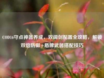 COD16守点神器养成，双阔剑配置全攻略，解锁双倍防御+盾牌武器搭配技巧