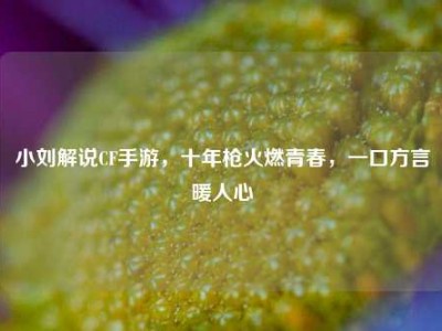小刘解说CF手游，十年枪火燃青春，一口方言暖人心