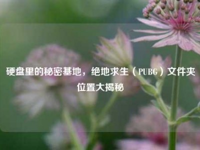 硬盘里的秘密基地，绝地求生（PUBG）文件夹位置大揭秘