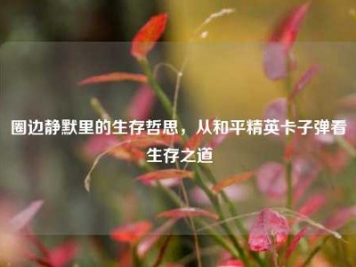 圈边静默里的生存哲思，从和平精英卡子弹看生存之道