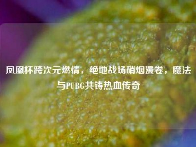 凤凰杯跨次元燃情，绝地战场硝烟漫卷，魔法与PUBG共铸热血传奇