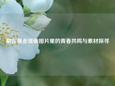 藏在暴走漫画图片里的青春共鸣与素材探寻