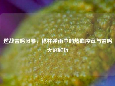 逆战雷鸣风暴，枪林弹雨中的热血序章与雷鸣天诏解析