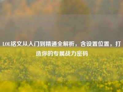LOL铭文从入门到精通全解析，含设置位置，打造你的专属战力密码