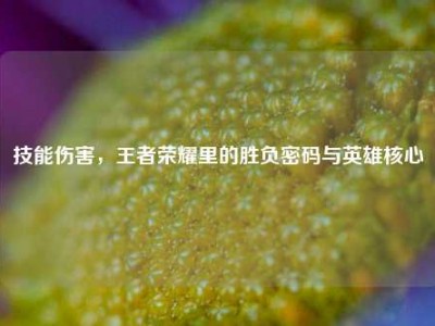 技能伤害，王者荣耀里的胜负密码与英雄核心