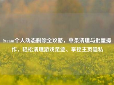 Steam个人动态删除全攻略，单条清理与批量操作，轻松清理游戏足迹、掌控主页隐私