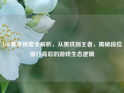 LOL赛季梯度全解析，从黑铁到王者，揭秘段位排行背后的游戏生态逻辑