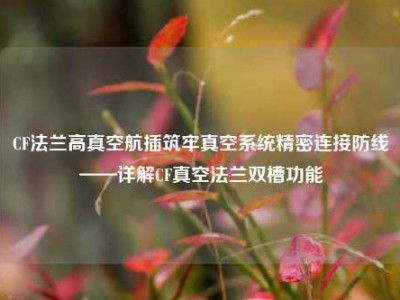 CF法兰高真空航插筑牢真空系统精密连接防线——详解CF真空法兰双槽功能