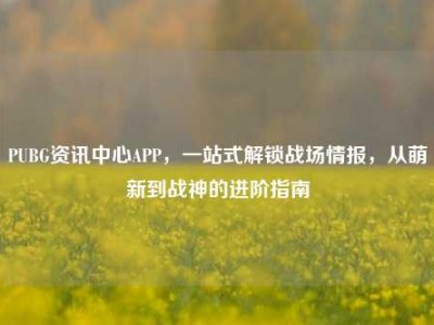PUBG资讯中心APP，一站式解锁战场情报，从萌新到战神的进阶指南