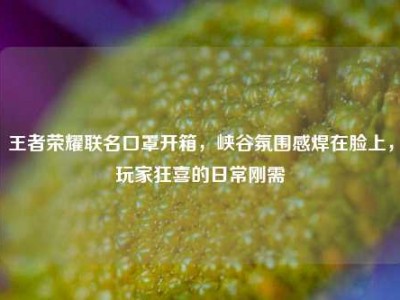 王者荣耀联名口罩开箱，峡谷氛围感焊在脸上，玩家狂喜的日常刚需