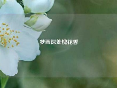 梦画深处槐花香
