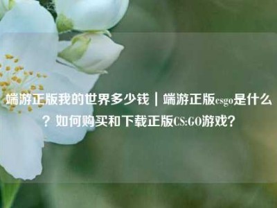 端游正版我的世界多少钱｜端游正版csgo是什么？如何购买和下载正版CS:GO游戏？