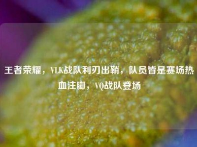 王者荣耀，VLK战队利刃出鞘，队员皆是赛场热血注脚，VQ战队登场