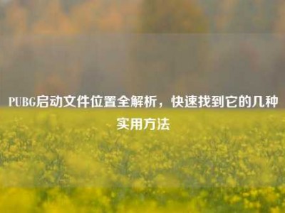 PUBG启动文件位置全解析，快速找到它的几种实用方法